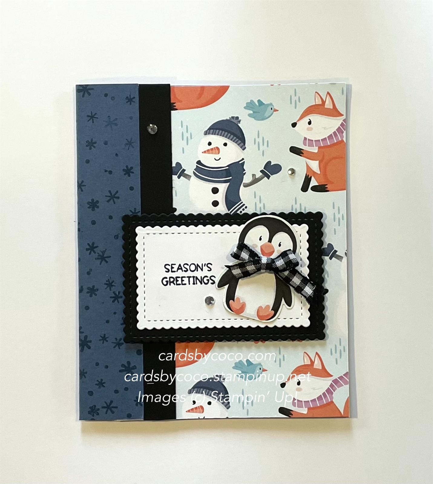 Penguin Place Fun Fold Card - cardsbycoco